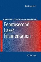 See Leang Chin - Femtosecond Laser Filamentation, Häftad