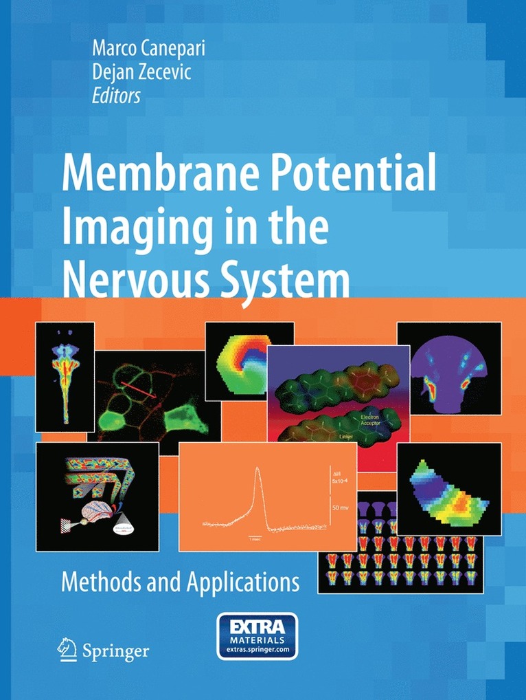Marco Canepari, Dejan Zecevic - Membrane Potential Imaging in the Nervous System, Häftad