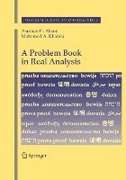 Asuman G. Aksoy, Mohamed A. Khamsi - Problem Book in Real Analysis, Häftad
