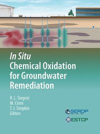 bokomslag In Situ Chemical Oxidation for Groundwater Remediation