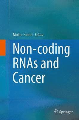 bokomslag Non-coding RNAs and Cancer