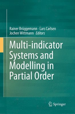 Multi-indicator Systems and Modelling in Partial Order 1
