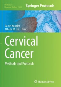 bokomslag Cervical Cancer