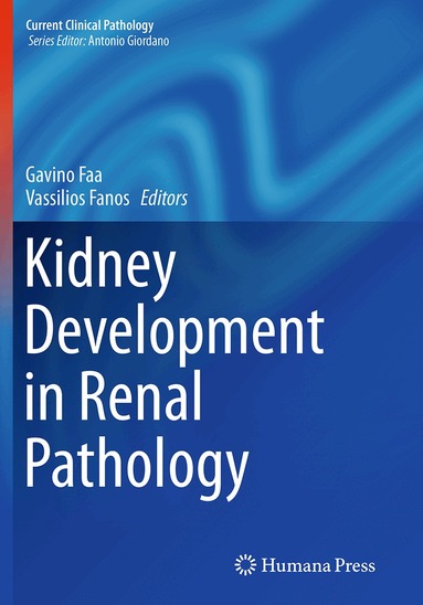 Gavino Faa, Vassilios Fanos - Kidney Development in Renal Pathology, Häftad