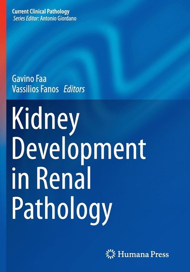 bokomslag Kidney Development in Renal Pathology