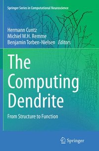 bokomslag The Computing Dendrite