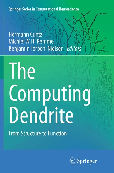 Hermann Cuntz, Michiel W.H. Remme, Benjamin Torben-Nielsen - Computing Dendrite, Häftad