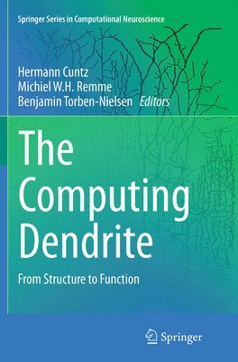 Hermann Cuntz, Michiel W.H. Remme, Benjamin Torben-Nielsen, Michiel W. H. Remme - Computing Dendrite, Häftad