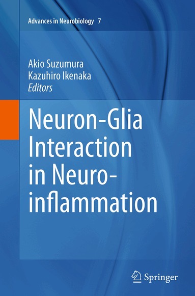 Akio Suzumura, Kazuhiro Ikenaka - Neuron-Glia Interaction in Neuroinflammation, Häftad