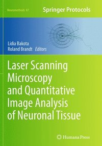 bokomslag Laser Scanning Microscopy and Quantitative Image Analysis of Neuronal Tissue
