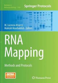 bokomslag RNA Mapping