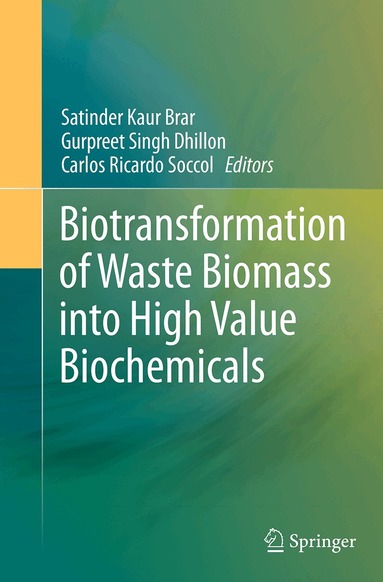 Satinder Kaur Brar, Gurpreet Singh Dhillon, Carlos Ricardo Soccol - Biotransformation of Waste Biomass into High Value Biochemicals, Häftad