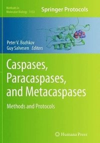 bokomslag Caspases,Paracaspases, and Metacaspases