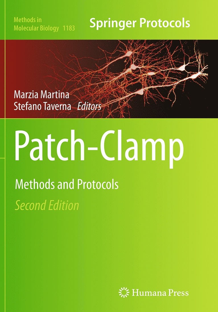 Marzia Martina, Stefano Taverna - Patch-Clamp Methods and Protocols, Häftad