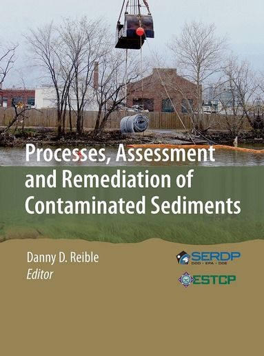 Danny D. Reible - Processes, Assessment and Remediation of Contaminated Sediments, Häftad