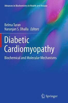 bokomslag Diabetic Cardiomyopathy