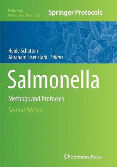 bokomslag Salmonella