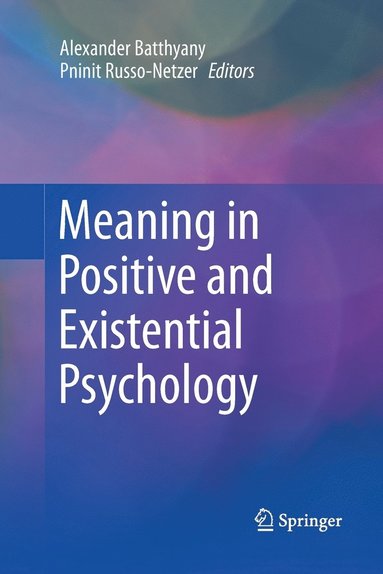 bokomslag Meaning in Positive and Existential Psychology