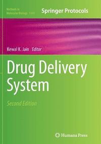 bokomslag Drug Delivery System