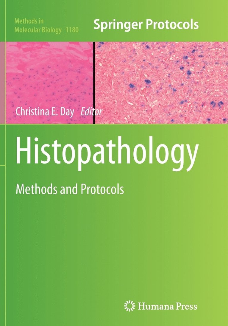 Histopathology 1