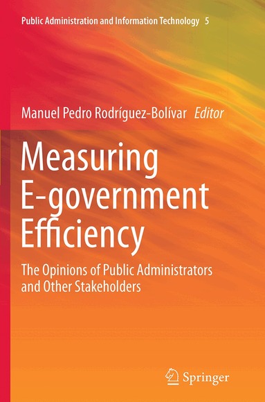 Manuel Pedro Rodríguez-Bolívar - Measuring E-government Efficiency, Häftad