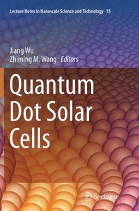 bokomslag Quantum Dot Solar Cells