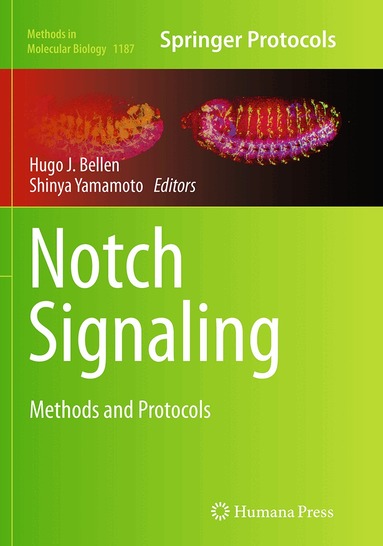 Hugo J. Bellen, Shinya Yamamoto - Notch Signaling, Häftad
