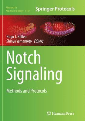 bokomslag Notch Signaling