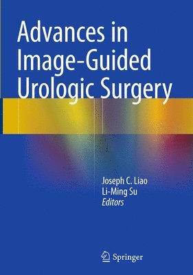 bokomslag Advances in Image-Guided Urologic Surgery