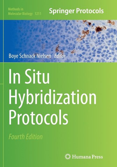 bokomslag In Situ Hybridization Protocols