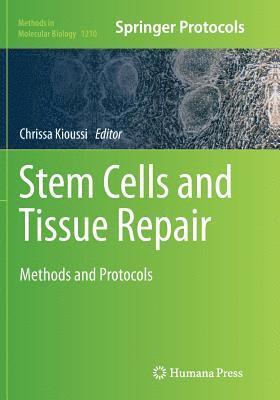 bokomslag Stem Cells and Tissue Repair