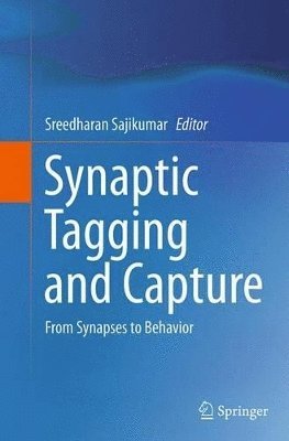 bokomslag Synaptic Tagging and Capture