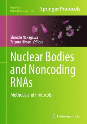 Nuclear Bodies and Noncoding RNAs 1