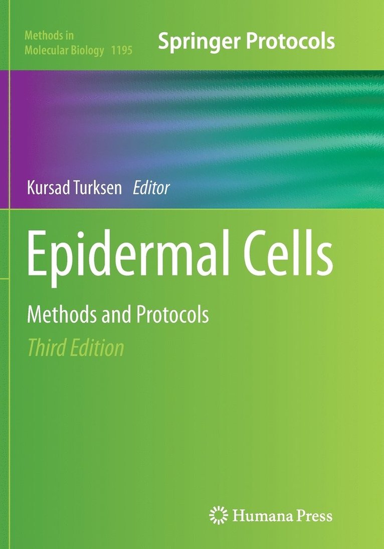 Epidermal Cells 1