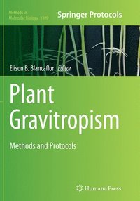 bokomslag Plant Gravitropism