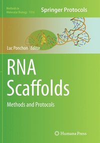 bokomslag RNA Scaffolds
