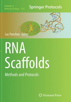 RNA Scaffolds 1