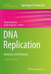 bokomslag DNA Replication