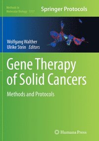 bokomslag Gene Therapy of Solid Cancers
