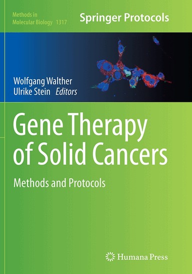 Wolfgang Walther, Ulrike Stein - Gene Therapy of Solid Cancers, Häftad