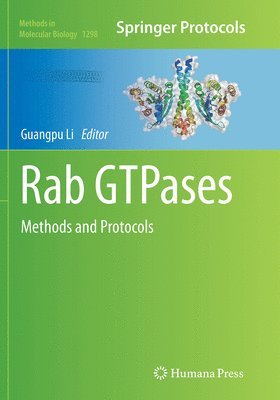 Rab GTPases 1