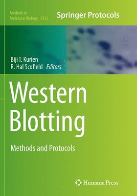 bokomslag Western Blotting