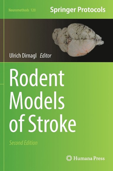 bokomslag Rodent Models of Stroke