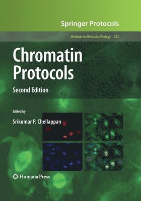 bokomslag Chromatin Protocols