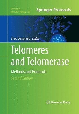 Telomeres and Telomerase 1