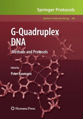 G-Quadruplex DNA 1