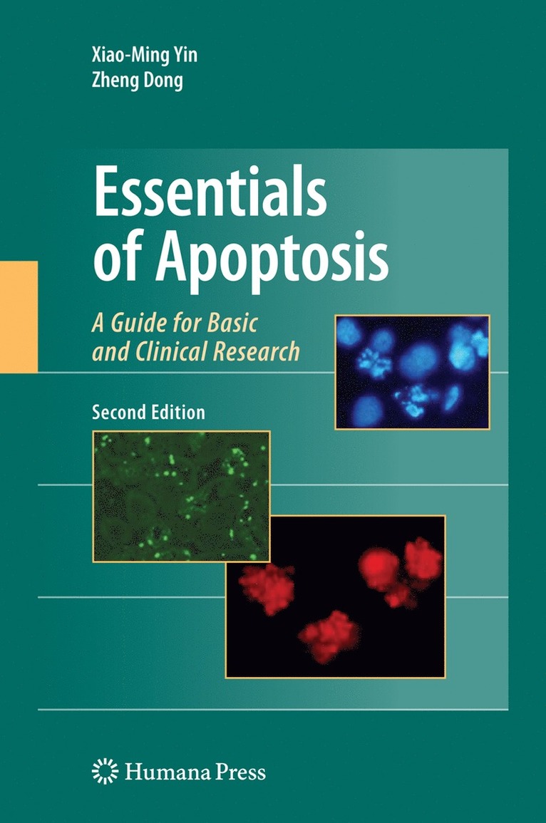 Xiao-Ming Yin, Zheng Dong - Essentials of Apoptosis, Häftad