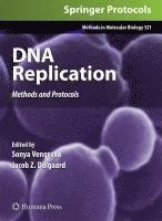 bokomslag DNA Replication