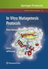 bokomslag In Vitro Mutagenesis Protocols
