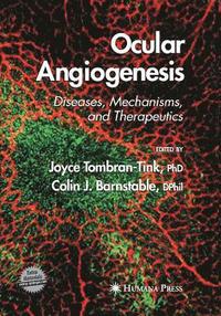 bokomslag Ocular Angiogenesis